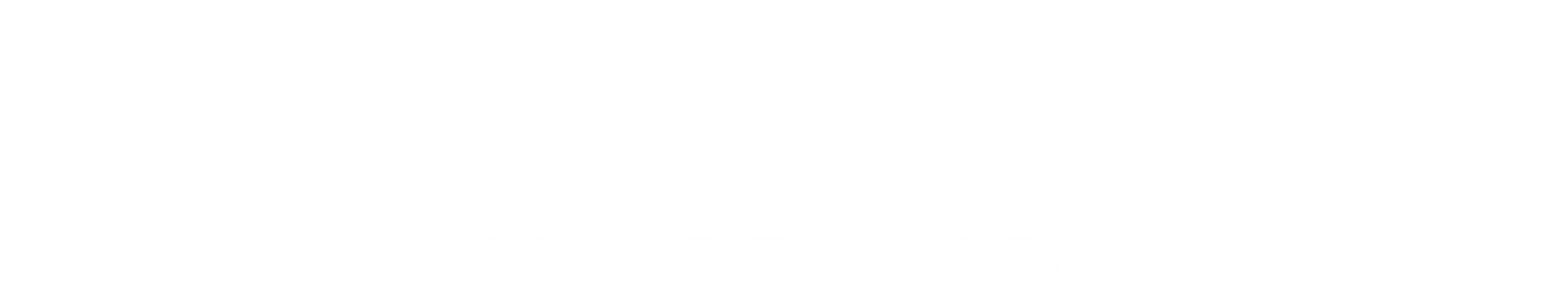 VZMORE-Logo in Weiß