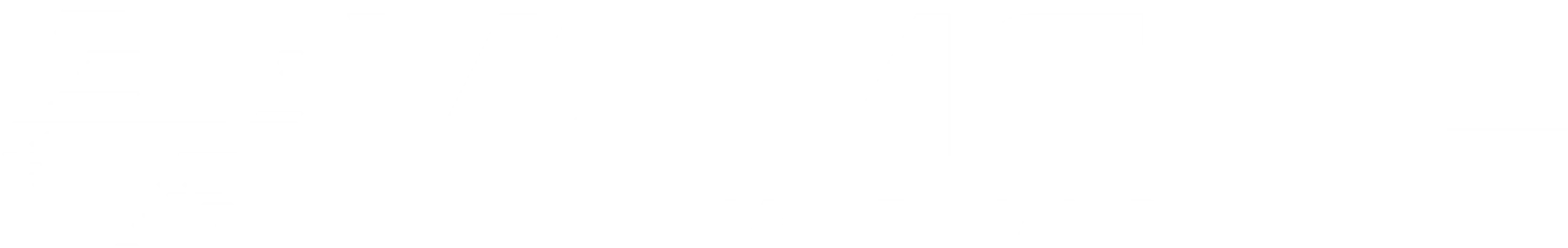 VZMORE-Logo in Weiß