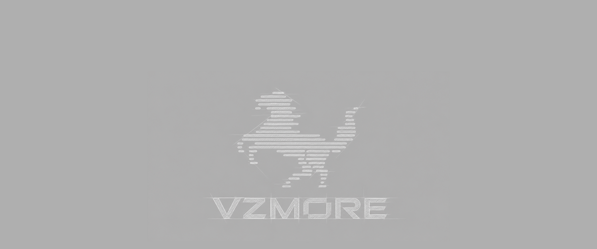 Die Geschichte der Marke VZMORE